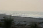 IMG_5391.jpg