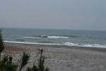 IMG_5394.jpg