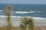 IMG_5403.jpg