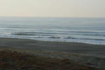 IMG_5406.jpg