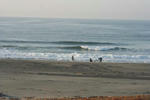 IMG_5407.jpg
