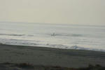 IMG_5417.jpg