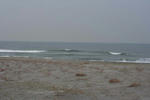 IMG_5421.jpg