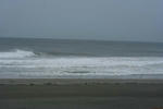 IMG_5423.jpg