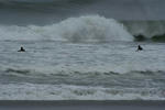 IMG_5428.jpg