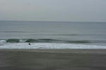 IMG_5436.jpg
