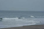 IMG_5439.jpg