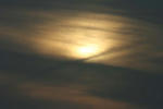 IMG_5450.jpg