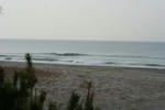 IMG_5455.jpg