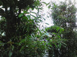 200803240717000.jpg