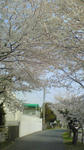 NEC_0091.JPG