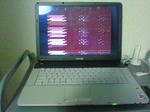 NEC_0070.JPG