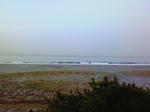 200804090516000.jpg