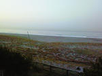 NEC_0040.jpg