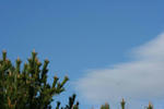 IMG_5465.JPG
