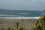 IMG_5467.JPG