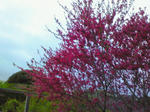 200804120518000.jpg