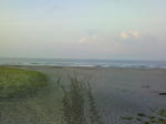 NEC_0116.JPG