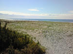 200804200849001.jpg