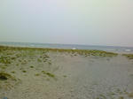 200804280520000.jpg
