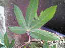 200804290559000.jpg