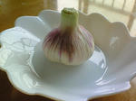 200804291153000.jpg