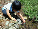 NEC_0073.JPG