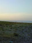 NEC_0176.JPG