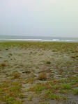 200805101333000.jpg