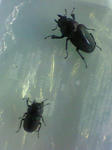 200807071114000.jpg