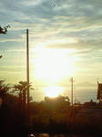 NEC_0133.JPG