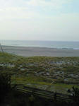 NEC_0099.JPG