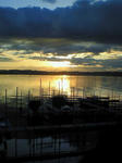 200810090611000.jpg