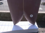 RIMG1162.JPG