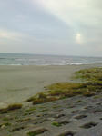 200811080702000.jpg