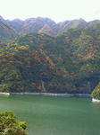 nec_0147.JPG