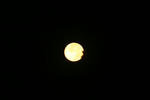 IMG_5787.JPG