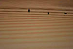 IMG_5972.JPG