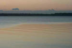 IMG_5976.JPG