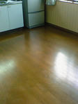 200812281035000.jpg
