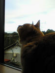 200901310744000.jpg
