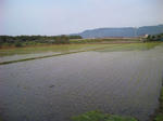090526_060003.jpg