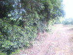 090603_051632.jpg