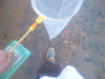 23222b30.jpeg