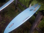 DVC00095.JPG