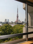 CIMG0858.JPG