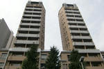 CIMG6578.JPG