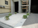 DSC01702.JPG