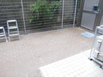 CIMG9540.JPG