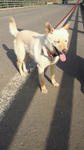 201106131649002.jpg